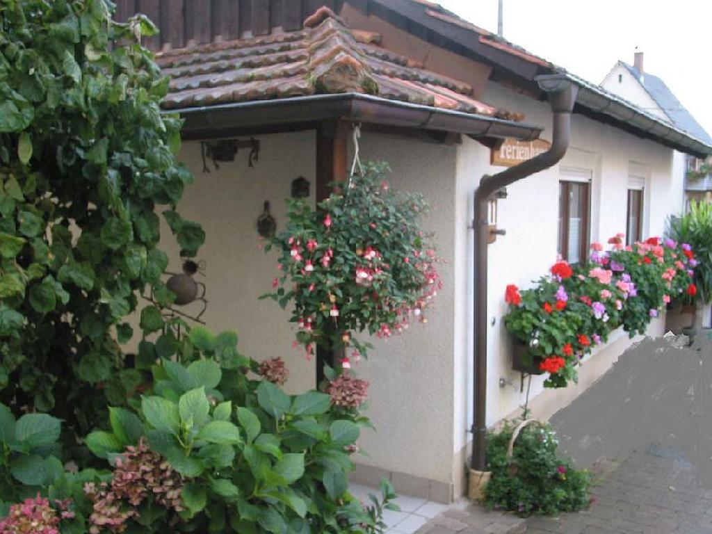 Ferienwohnung Am Blumengaessle Mullheim  Exterior photo